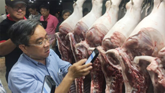 Không cho nhập chợ thịt heo không truy xuất nguồn gốc