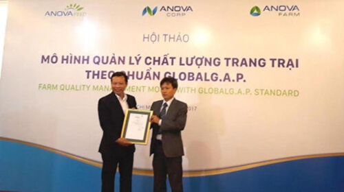 Trang trại nuôi heo thịt của Anova - anh em cùng nhà với Novaland đạt chứng nhận Global GAP